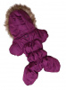 LionPets Комбинезон Winter LP017M, вишневый, унисекс, спина 27-29см.