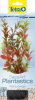 Tetra DecoArt Растение "Людвигия красная" M, пласт., 23см.