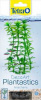 Tetra DecoArt Растение "Анахарис" M, пласт., 15см.