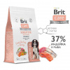 Brit Care Superpremium Dog Adult Sensitive Metabolic 3кг. корм для взрослых собак всех пород для улучшения обмена веществ с морской рыбой и индейкой