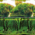 Laguna Фон двухсторонний 9084/9085 "Зеленые холмы/Подводный лес, 30 см.