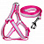 Triol Комплект шлейка и поводок нейлоновый "Одуванчики" XS, розовый, 12х260-370мм; 12х1200мм.